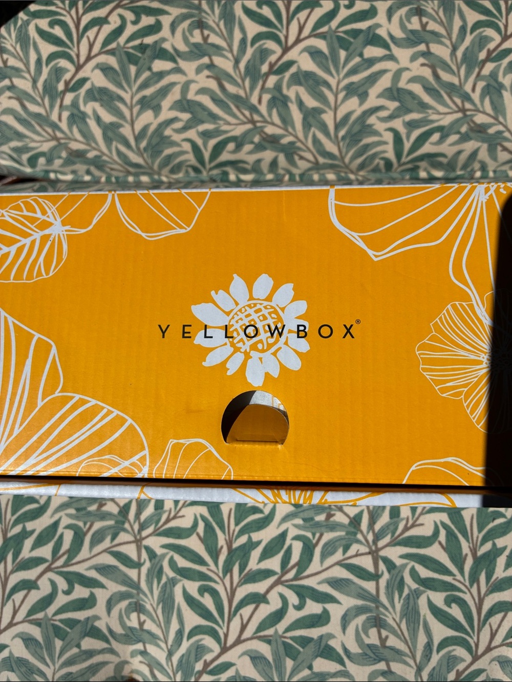 NEW! Y E L L O W B O X 🌻 sz 9 Women’s ABENEGO TAUPE Flip Flop Sandals! 🌻 - Picture 5 of 6